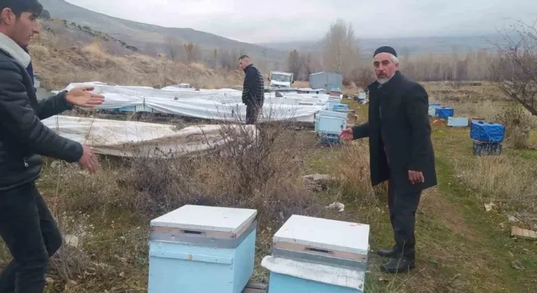 Muradiye’de ayılar kovanlara ve kümes hayvanlarına saldırdı