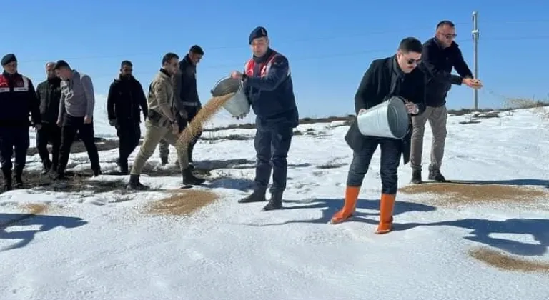 Özalp ilçesinde sokak ve yaban hayvanları için yem bırakıldı