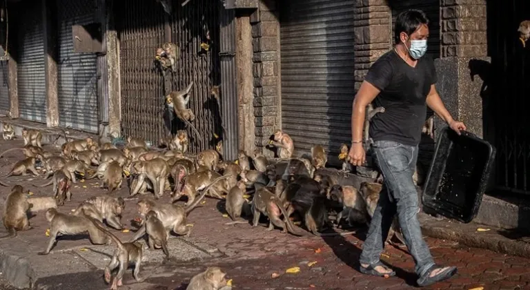 Şehri istila ettiler, yaşamı durma noktasına getirdiler!