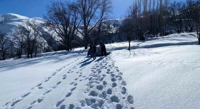 Van'ın Bahçesaray ilçesinde besicilerin saman taşıma mücadelesi