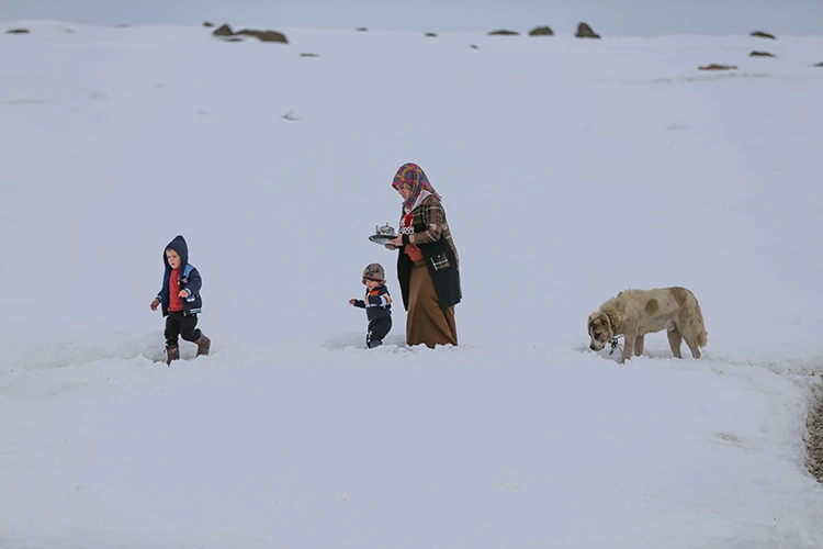 Vanlı çift kışın yalnız kaldıkları mahalleyi hayvanları için terk etmiyor