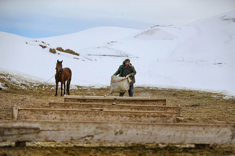 Vanlı çift kışın yalnız kaldıkları mahalleyi hayvanları için terk etmiyor